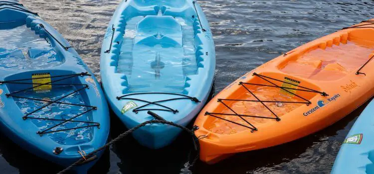 Stand up Paddle Board vs Kayak