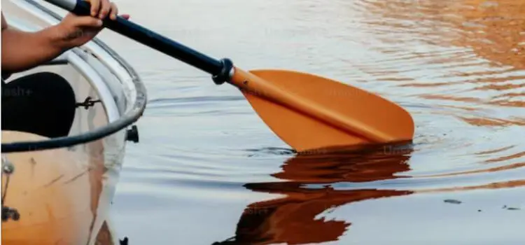 Why are Kayak Paddles Offset